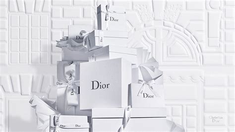 dior website down|dior france official website.